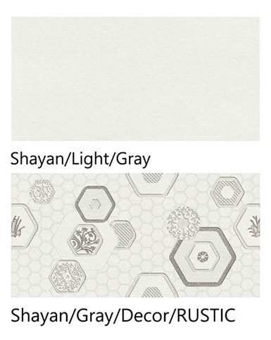 Shayan-gray