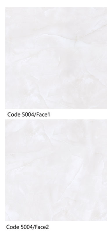 code-5004-bej